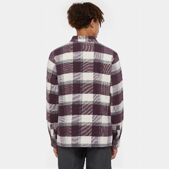 Dickies COALING SHIRT IN PLUM PERFECT