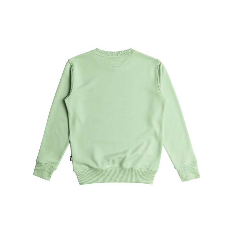 Boys Foundation Sweatshirt in Matcha