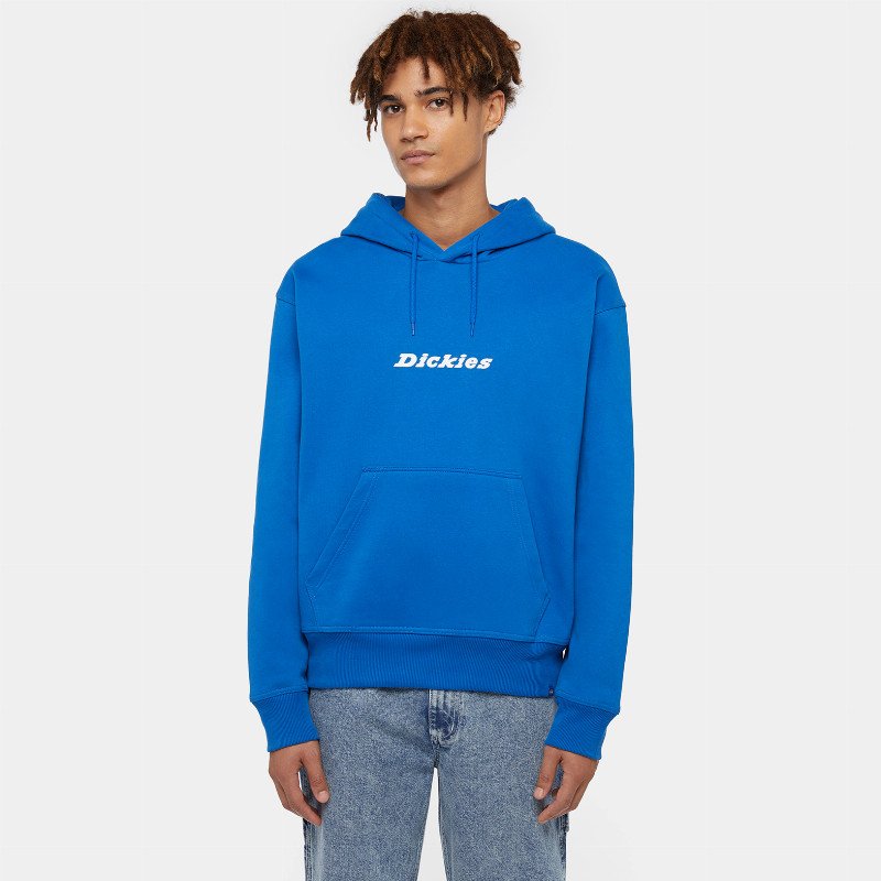 Dickies Enterprise Hoodie Man Blue 