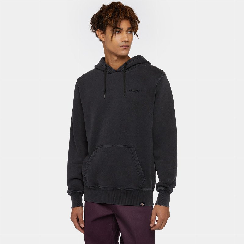 Dickies Plentywood Hoodie Man Black 