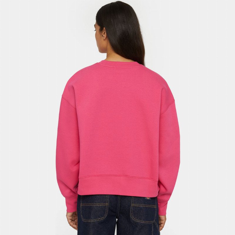 Summerdale Sweatshirt in Raspberry