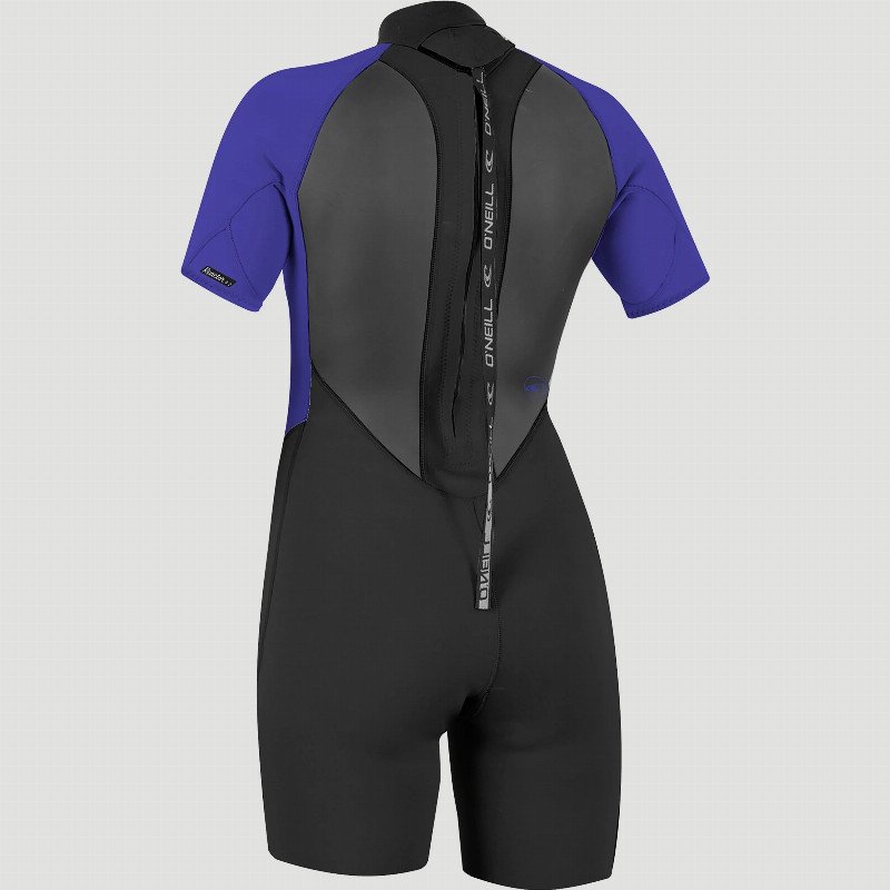 Reactor-2 2mm Back Zip Shorty Wetsuit in Black & Cobalt