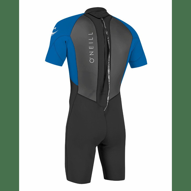 Reactor-2 2mm Back Zip Shorty Wetsuit in Black & Ocean