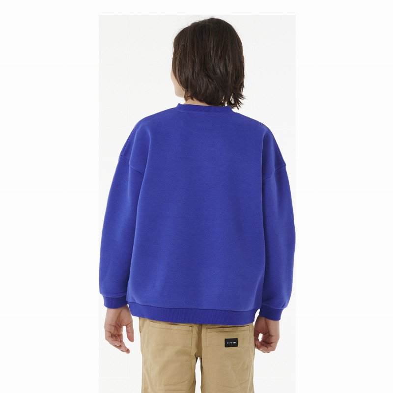 Boys Future Evolution Sweatshirt in Wild Berry