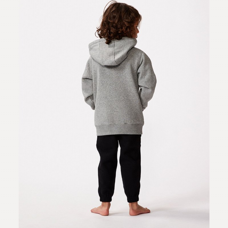 Boys Wetsuit Icon Zip Thru Hoodie in Grey Marle