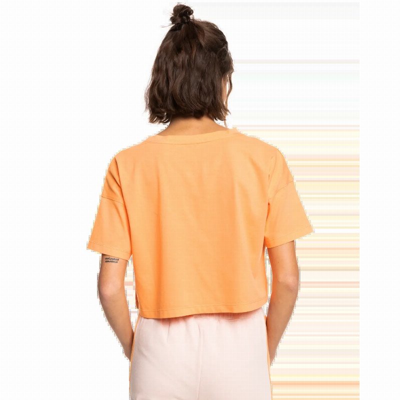 Essential Crop T-Shirt in Mock Orange